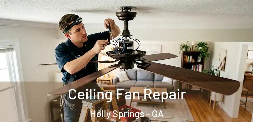 Ceiling Fan Repair Holly Springs - GA